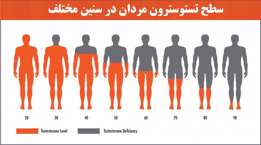 تصویر بدن 8 مرد که ترتیب کاهش هرمون جنسی مردانه با افزایش سن را نشان می‌دهد